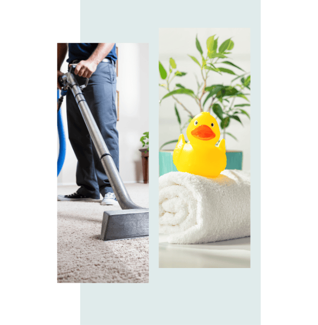 Professional cleaning service